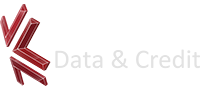 Kingston Data & Credit International